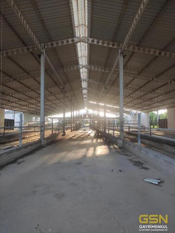 20-İZMİR DİKİLİ BAHÇELİ MAHALLESİNDE DENİZE 3. PARSEL 48.000 M2 İÇERİSİNDE KURULU 4000 BÜYÜKBAŞLIK RUHSATLI ÇİFTLİK